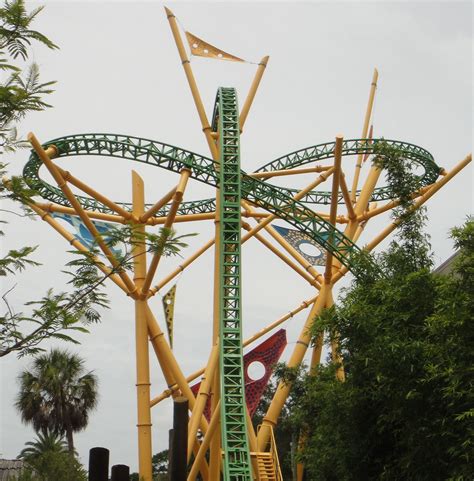 Cheetah Hunt! | Roller coaster, Places ive been, Hunt