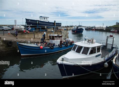 Billy shiels boat trips hi-res stock photography and images - Alamy