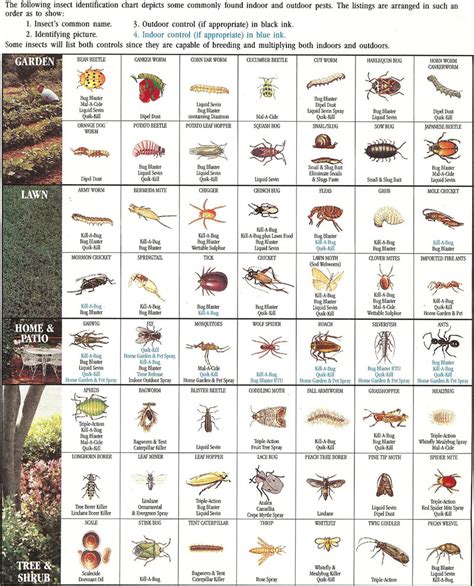 insect-identification-chart | Town & Country Gardening