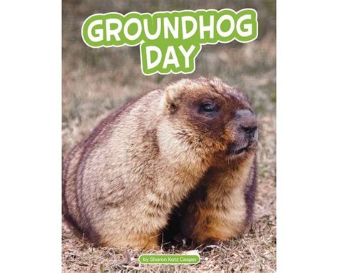 Buy Groundhog Day - Traditions & Celebrations by Sharon Katz Cooper Online at Lowest Price in ...