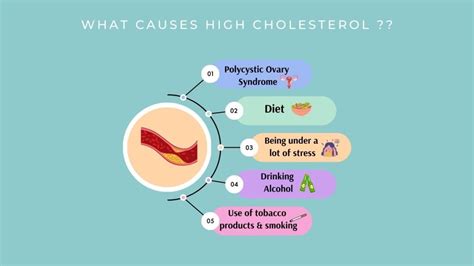 High Cholesterol | What You Need To Know | Symptoms And Causes