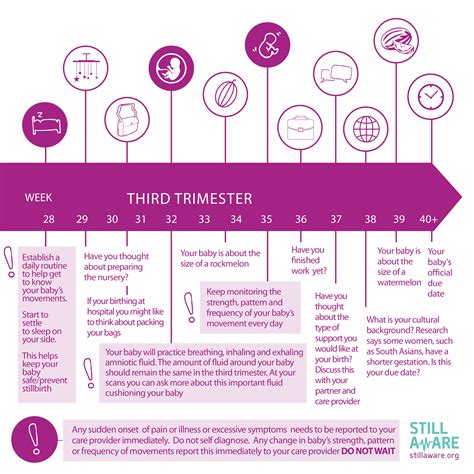 Third Trimester | Still Aware