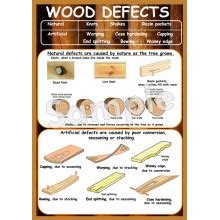 Wood Defects Poster - Ashmore Learning Solutions