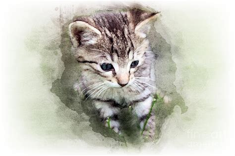 Kitten sitting in green grass watercolor Painting by Gregory DUBUS ...