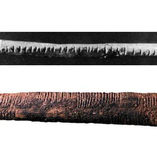 1: The Lebombo bone 44, 000 BC (top) and the Ishango bone 20, 000 BC... | Download Scientific ...