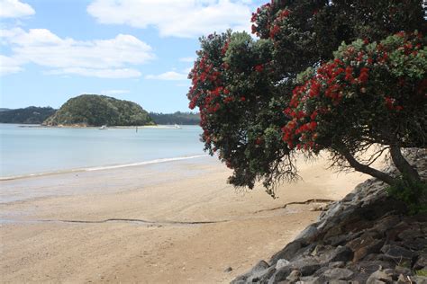 Paihia Beach, Bay of Islands, New Zealand www.stephentravels.com | Bay of islands, Beach, Paihia