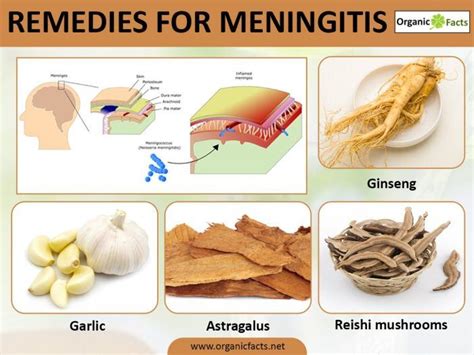 Meningitis – ORGANIC NATURE RESOURCES | Meningitis, Home remedies, Remedies