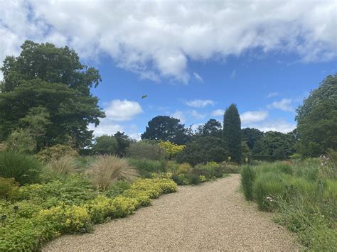 The Savill Garden - Baby in Bucks