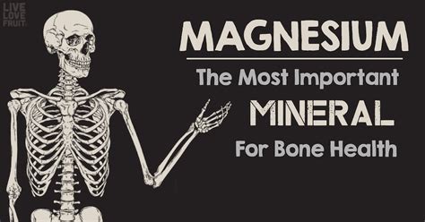 Magnesium: The Most Important Mineral For Bone Health - Live Love Fruit