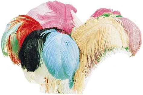 Ostrich Feathers Photo, Detailed about Ostrich Feathers Picture on ...