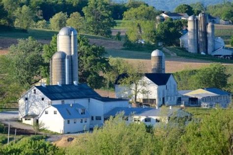 5 Reasons To Go on an Amish Bus Tour - The Amish Farm and House