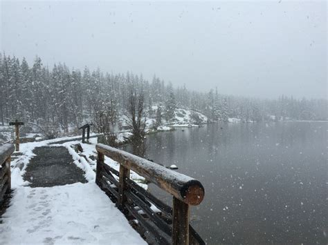 Winter Wonderland hike Rocky Mountain National Park | Rocky mountain ...