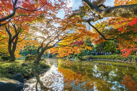 Best Places In Japan For Autumn Foliage - Photos Cantik