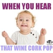 When You Hear That Wine Cork Pop - Wine Meme - Social Vignerons