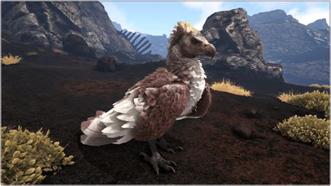 Ark Argentavis Guide (Abilities, Taming, Food, Saddle, Breeding, Drops & Location) - ProGameTalk