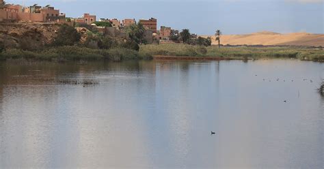 Eat Local in Laayoune