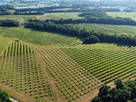 Propagate raises $10m to help more farmers transition to agroforestry