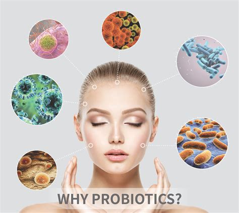 Most people associate probiotics (good microbes) with maintaining a healthy gut. Leading ...