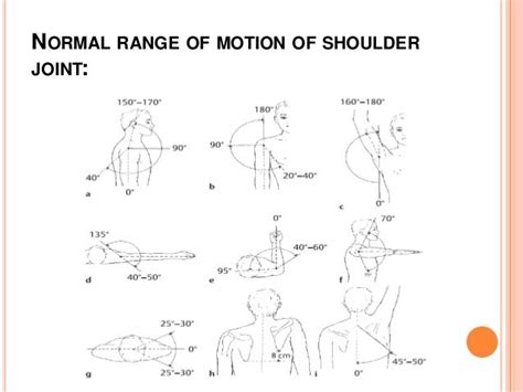 Tests For Shoulder Joint - 638x479 - jpeg