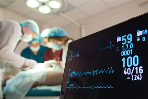 Electrocardiogram (ECG or EKG) 101: Purpose, Procedure & Risks - Homage ...