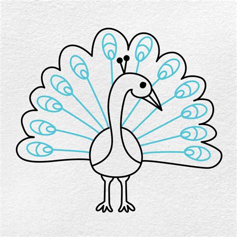 How to Draw a Peacock - HelloArtsy