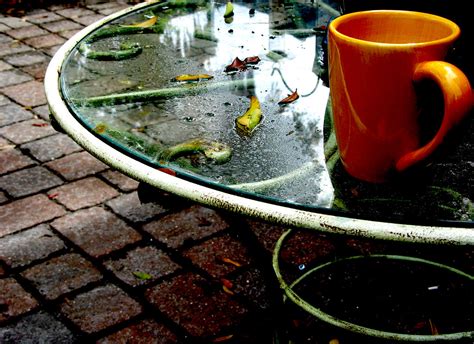 After The Rain Cup Brick Patio Glass Table Leaves | Christopher Sessums | Flickr