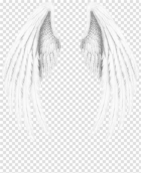 Transparent Background Angel Wings Png Clipart - img-omnom