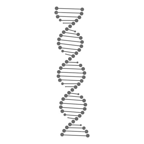 Dna White Vector Design Images, Dna Icon Isolated On White Background, Structure, Human, Medical ...