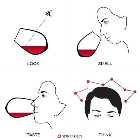 How to Taste Wine and Develop Your Palate | Wine Folly