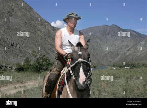 Russian President Vladimir Putin riding the horse at the spurs of the ...