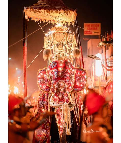 Sri Dalada Maligawa - Perahera Festival kandy, SriLanka | Weligama, Sri ...