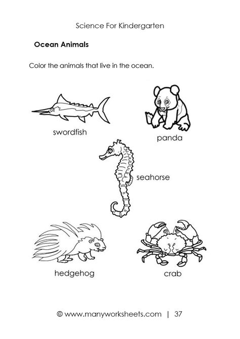 Kindergarten Ocean Worksheets | Kindergarten money worksheets ...