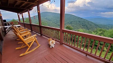 Pet-Friendly Cabins in Blue Ridge, Georgia: A Gateway to Fightingtown Creek and the Benton ...