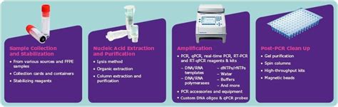 Complete Solutions for PCR Assay Development