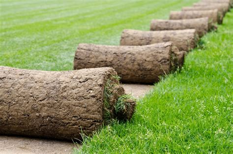 How to lay a new lawn from turf - The Lawn Store of Salisbury