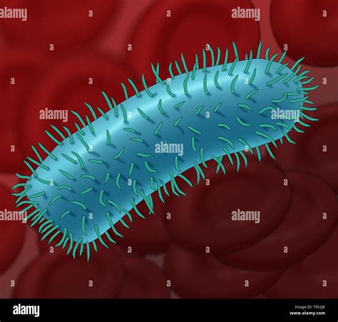 Illustration the rabies virus. Rabies virus is a neurotropic virus that causes rabies in humans ...