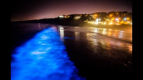 Stunning bioluminescence in the ocean in La Jolla, CA - YouTube