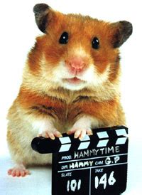 CBC.ca/Arts :new online magazine & Hammy Hamster | False Positives