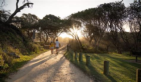 Diamond Head campground | NSW National Parks