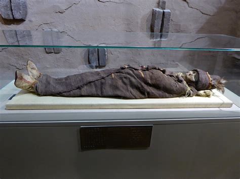 Tarim Mummies from China May be Ancestors of Native Americans