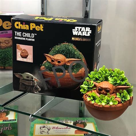 BABY YODA CHIA PETS ARE COMING OUT SOON, SO YOU CAN GROW YOUR OWN CHILD ...