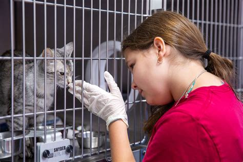 Young Volunteer Spotlight — Blue Mountain Humane Society | Animal Welfare in Walla Walla, WA