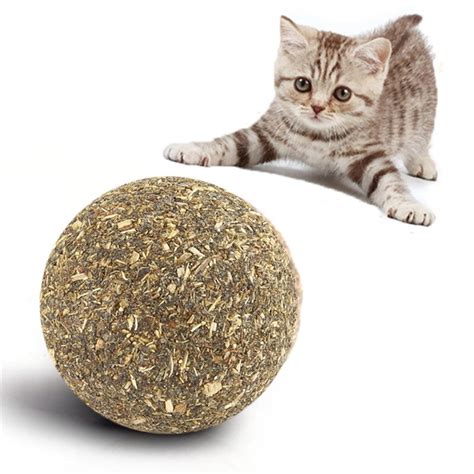 Aliexpress.com : Buy 3cm Cat Mint Ball Play Toy Ball Coated with Catnip ...