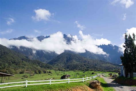 43+ Pemandangan Kota New Zealand Images - Cahaya Track