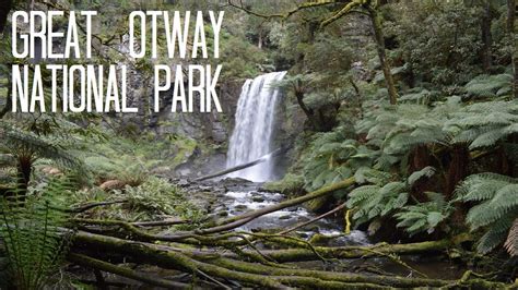 Great Otway National Park | HIKING & WATERFALLS - YouTube