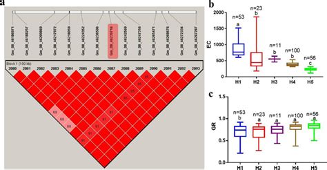 Haplotype block around Gm_08_46239716 and phenotypic variation ...