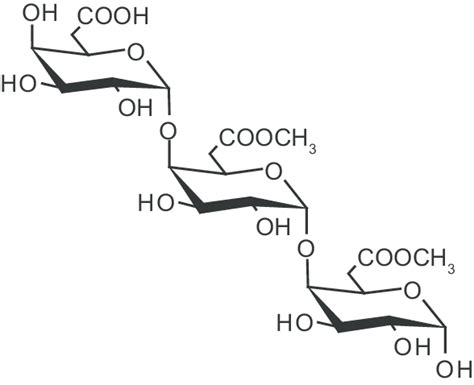 structure of pectin. | Download Scientific Diagram