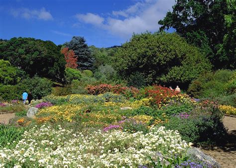 Kirstenbosch Botanical Gardens | Audley Travel