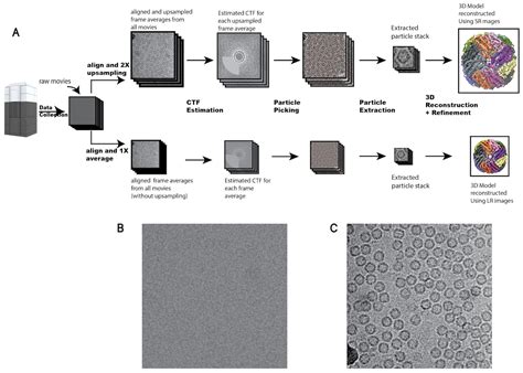 Cryo-ZSSR: multiple-image super-resolution based on deep internal ...