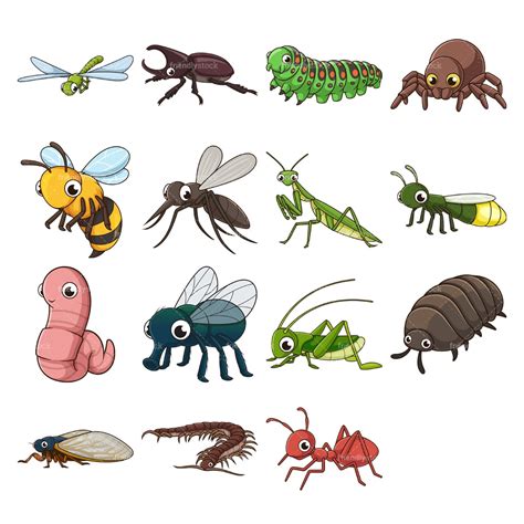 Cartoon Insect Clipart